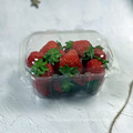 plastic disposable fruit punnet clamshell for 250g cherry tomato packaging
